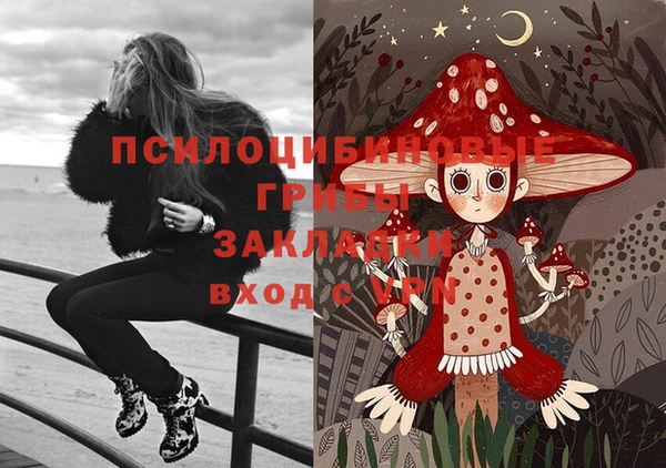 дурь Покачи