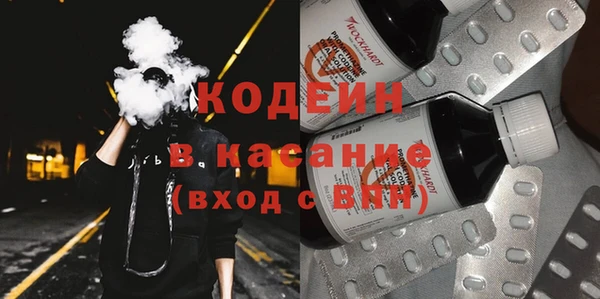 шишки Переславль-Залесский