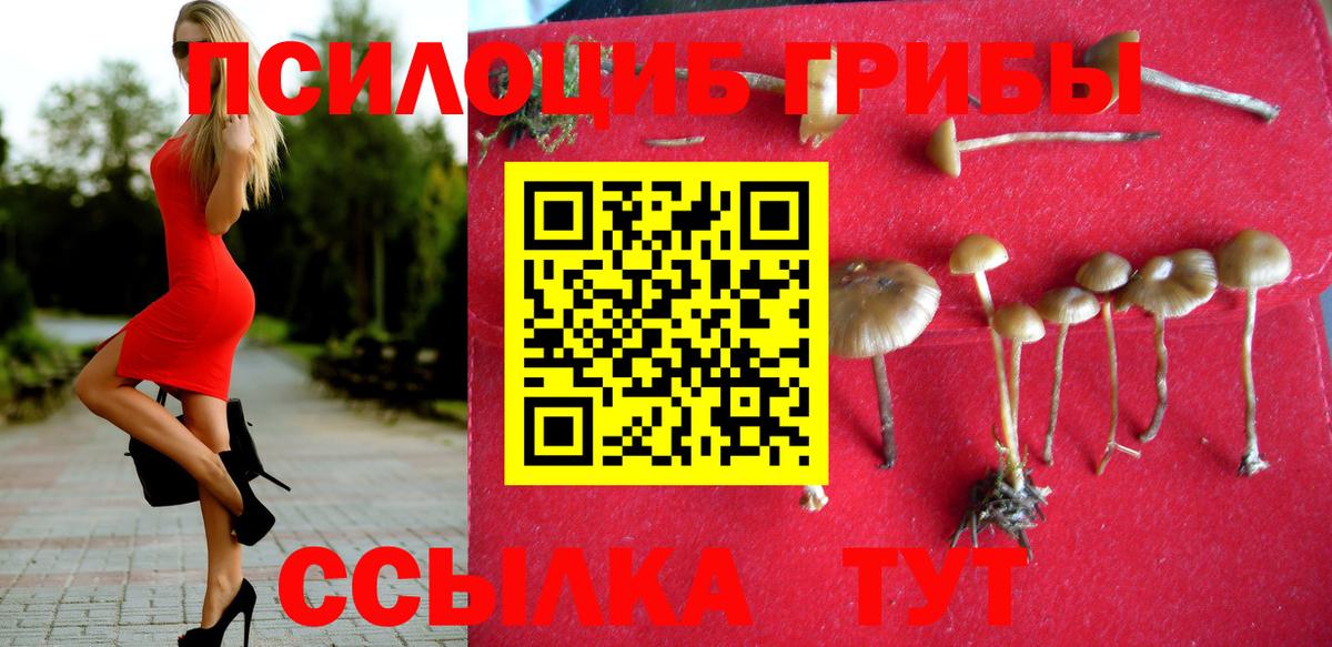 Псилоцибиновые грибы Magic Shrooms  Вход с VPN  Рославль  Псилоцибиновые грибы Magic Shrooms 